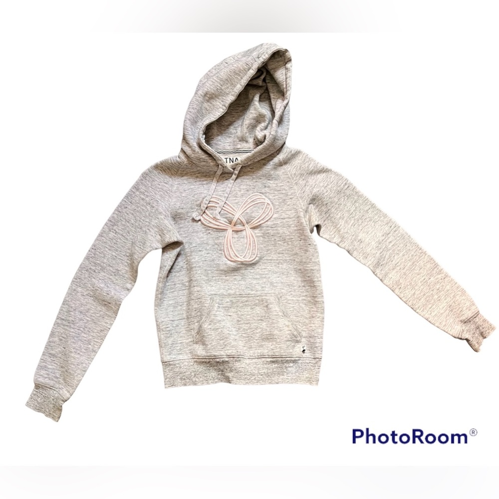 ⭐️⭐️ARITZIA TNA grey hoodie